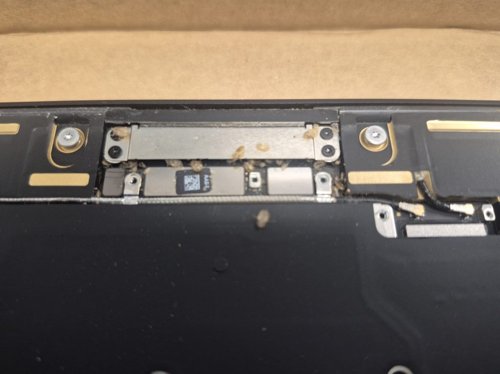 MacBook Air M3 dead bed bugs underneath shield plate for display connectors