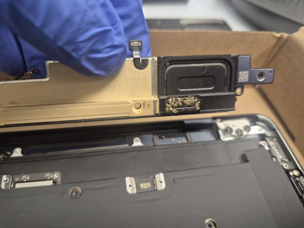 MacBook Air M3 had dead bedbugs underneath the speaker module