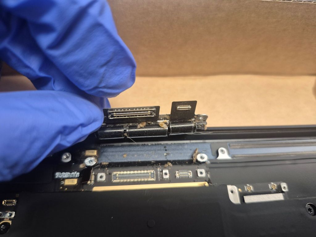 MacBook Air dead bed bugs near display connection and cable